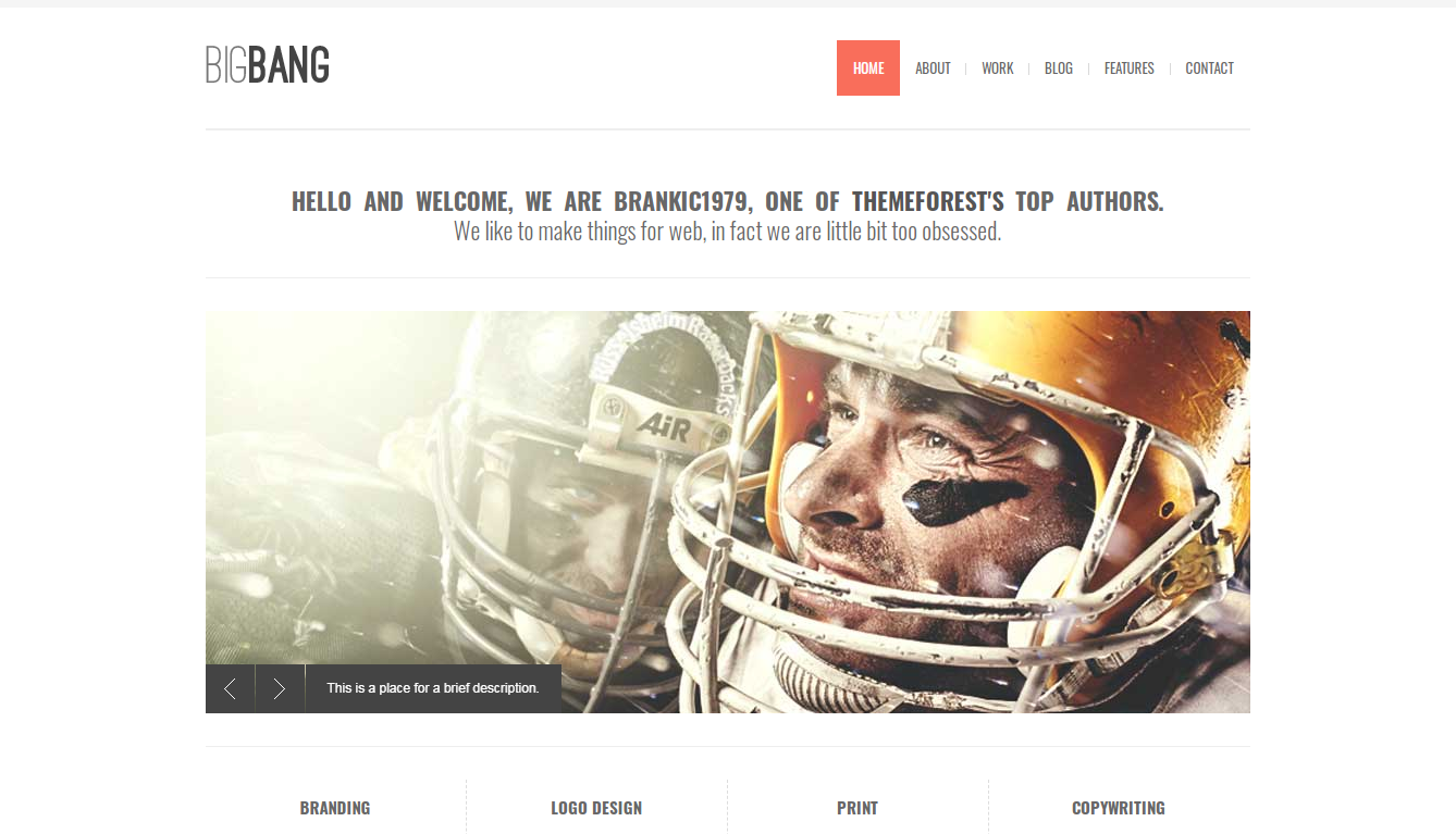 top-selling-wordpress-themeforest-theme