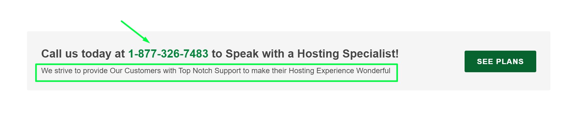 contact-customer-care-greengeeks-review